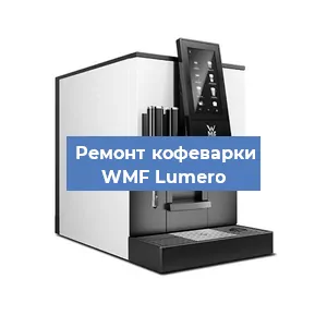 Чистка кофемашины WMF Lumero от накипи в Новосибирске